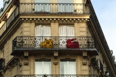 Bunnies 2015-12-05