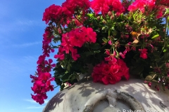 Luxembourg Gardens 2018-09-08
