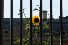 Louvre 2018-09-10