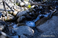 W Trek Day 1 - Trek to the Towers