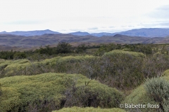 W Trek Day 2 - Los Cuernos