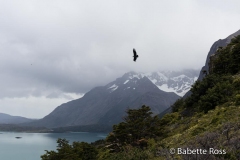 W Trek Day 2 - Los Cuernos