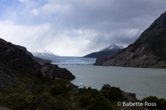 W Trek Day 4 - Grey Glacier