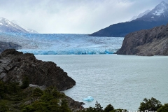 W Trek Day 4 - Grey Glacier