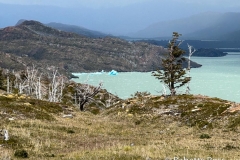 W Trek Day 4 - Grey Glacier