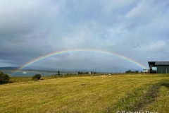 More Rainbows!