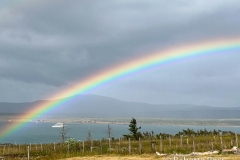 More Rainbows!