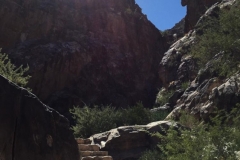 Waterfall Trail, White Tank Mountain Regional Park