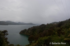 Pelorus Sound, Picton, Queen Charlotte Drive