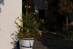 Portlligat