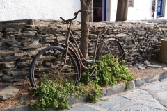 Dali House
