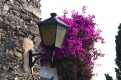 Dali House