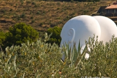 Dali House