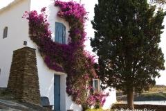 Portlligat