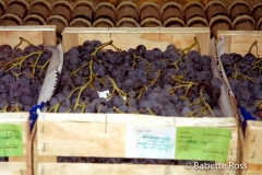 Aix En Provence 1997-09-13