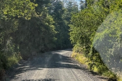 Going to Villarica National Park
