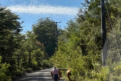 Going to Villarica National Park