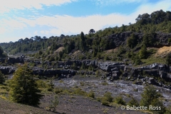 Villarica National Park - Voipir Glacier Mirador Hike