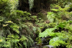 Geometricas Hot Springs