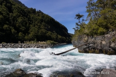 Petrohue Falls in Vicente Pérez Rosales National Park