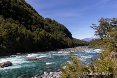 Petrohue Falls in Vicente Pérez Rosales National Park