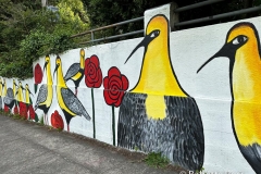 Puerto Varas