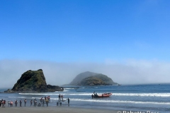 Puñihuil