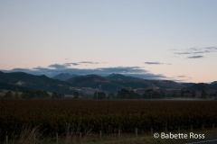 between Motueka & Punakaiki