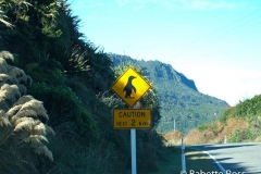 between Motueka & Punakaiki