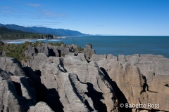 Punakaiki