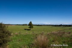 between Punakaiki & Hotitika
