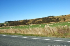 between TeAnu & Queenstown