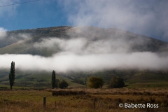 between TeAnu & Queenstown