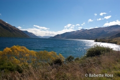 between TeAnu & Queenstown
