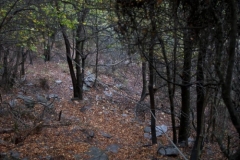 Via Ferrata Rungway