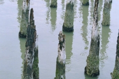 Cape Henlopen