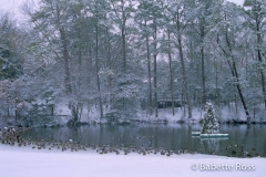 Gerar Lake