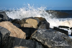 Cape Henlopen