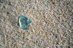 Cape Henlopen