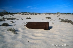 Cape Henlopen