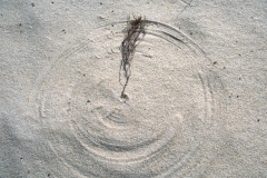 Cape Henlopen
