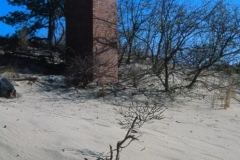 Cape Henlopen