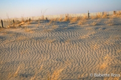 Cape Henlopen