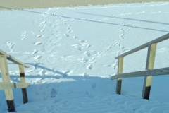 Rehoboth Beach