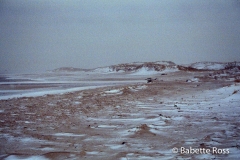 Cape Henlopen