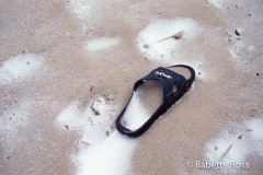 Cape Henlopen