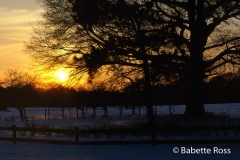 After the Blizzard