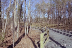 Gordon's Pond