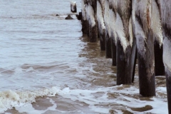 Cape Henlopen, Fishing Pier