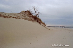 Cape Henlopen, Herring Point